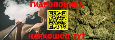 твердый Будённовск